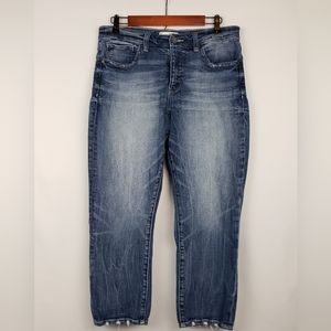 BKE Gabby Curvy Fit High Rise Jeans